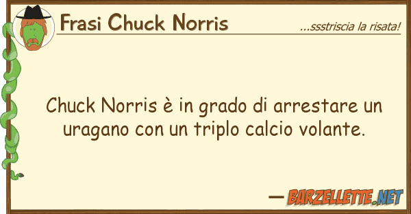 Frasi Chuck Norris chuck norris è grado arrestare