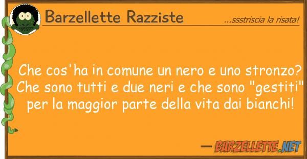 Barzellette Razziste cos'ha comune nero stron