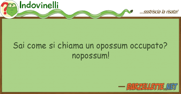 Indovinelli sai chiama opossum occupato?