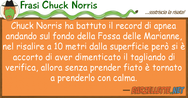 Frasi Chuck Norris chuck norris ha battuto record apn