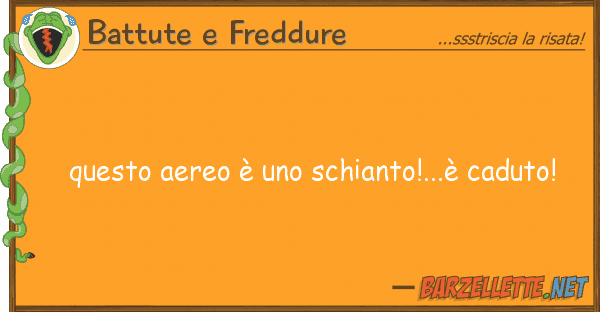 Battute e Freddure aereo è schianto!...è cadut