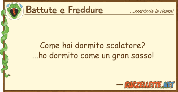 Battute e Freddure hai dormito scalatore? ...ho dormit