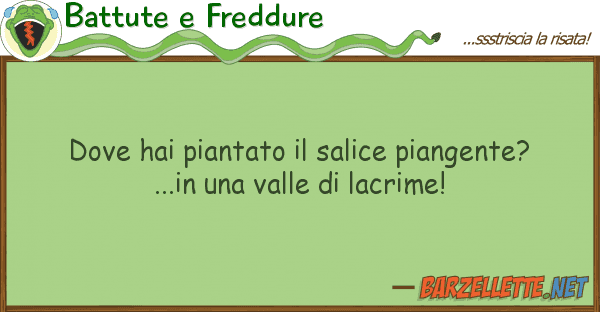 Battute e Freddure hai piantato salice piangente? .
