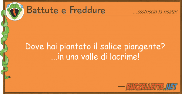 Battute e Freddure hai piantato salice piangente? .