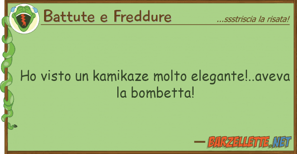 Battute e Freddure ho visto kamikaze molto elegante!..av