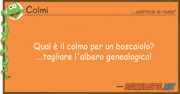 Colmi qual è colmo boscaiolo?...tag