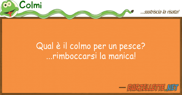 Colmi qual è colmo pesce?...rimbocc