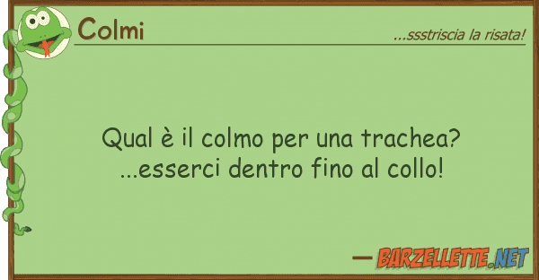 Colmi qual è colmo trachea? ...ess