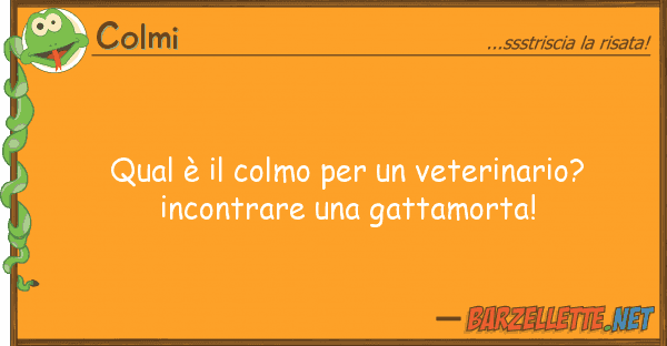 Colmi qual è colmo veterinario? inc