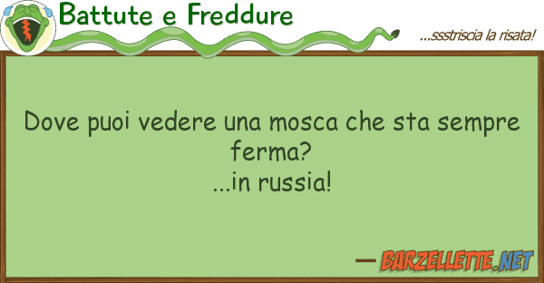 Battute e Freddure puoi vedere mosca sta sempr