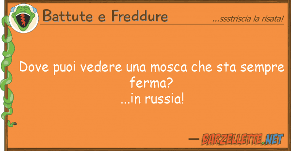 Battute e Freddure puoi vedere mosca sta sempr