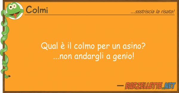 Colmi qual è colmo asino?...non and