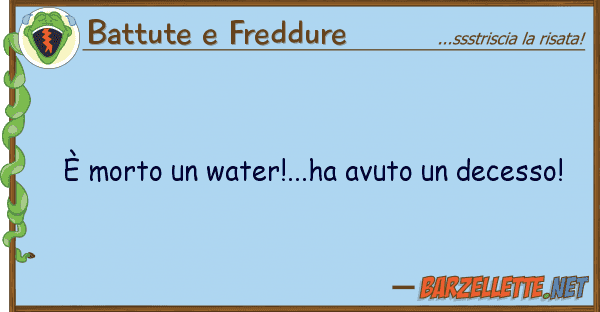 Battute e Freddure è morto water!...ha avuto decesso