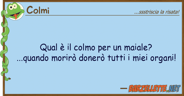Colmi qual è colmo maiale?...quando