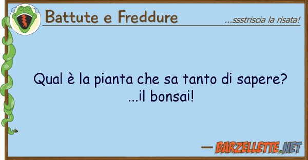 Battute e Freddure qual è pianta sa tanto sapere