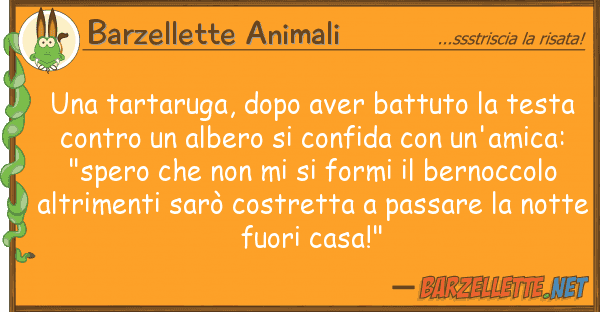 Barzellette Animali tartaruga, dopo aver battuto test