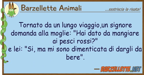 Barzellette Animali tornato lungo viaggio,un signore d