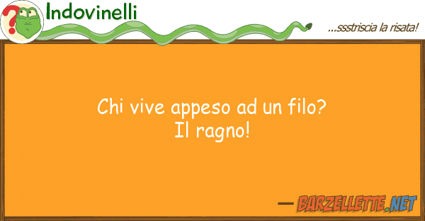 Indovinelli vive appeso filo? ragno!