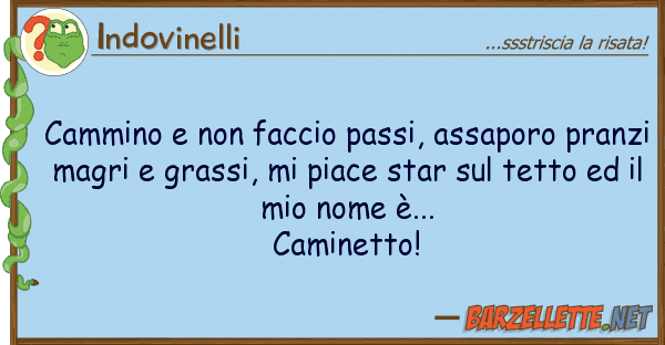 Indovinelli cammino faccio passi, assaporo pra