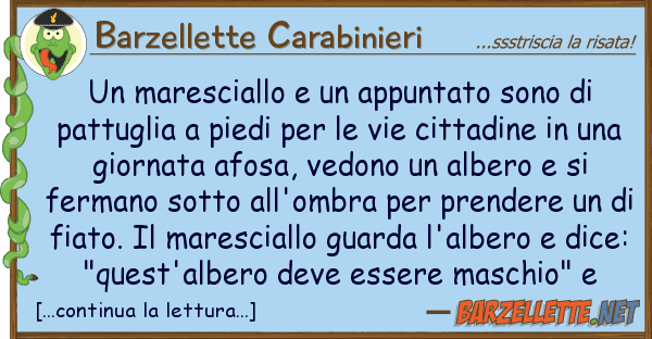 Barzellette Carabinieri maresciallo appuntato sono pa