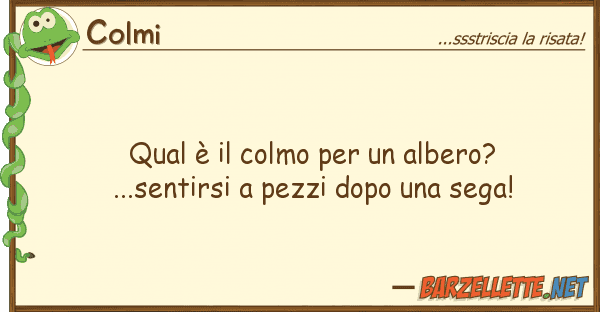 Colmi qual è colmo albero?...sentir