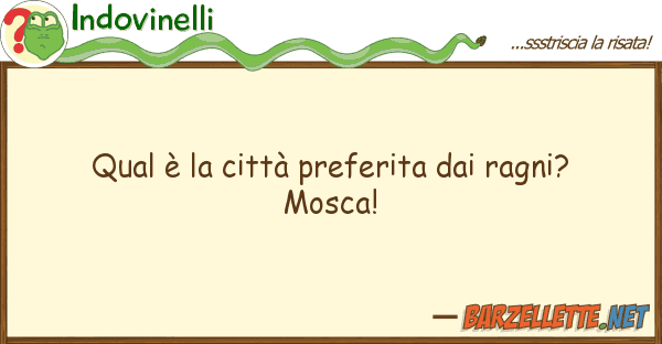 Indovinelli qual è città preferita ragni?