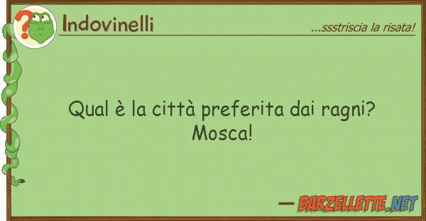 Indovinelli qual è città preferita ragni?