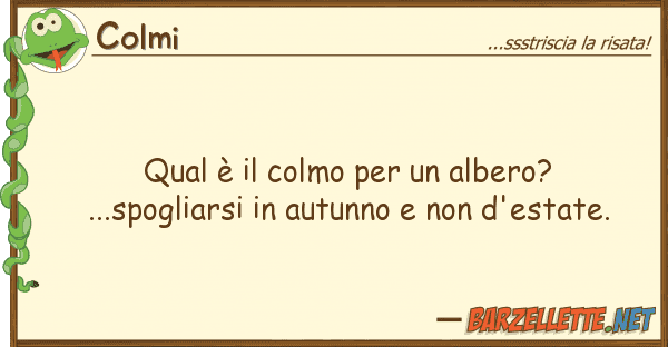 Colmi qual è colmo albero?...spogli