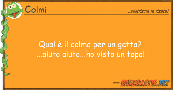 Colmi qual è colmo gatto?...aiuto