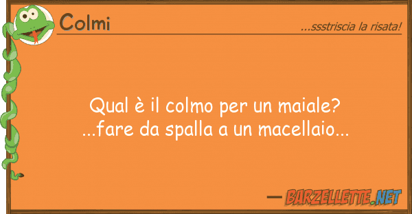 Colmi qual è colmo maiale?...fare d