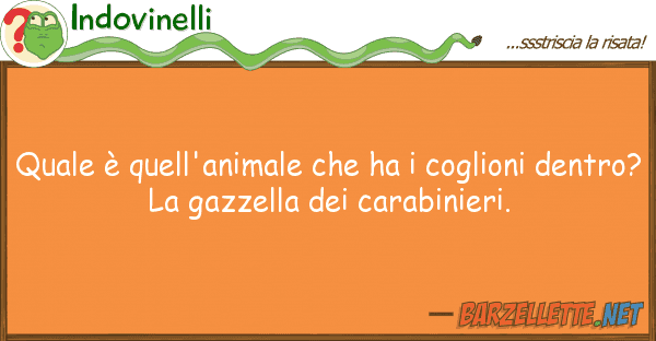 Indovinelli è quell'animale ha coglioni