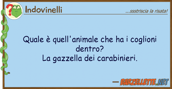 Indovinelli è quell'animale ha coglioni