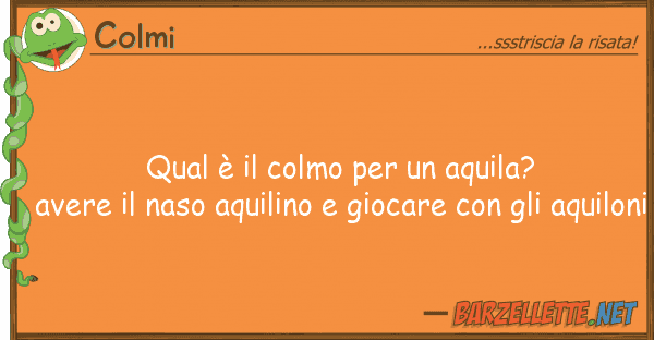 Colmi qual è colmo aquila? avere