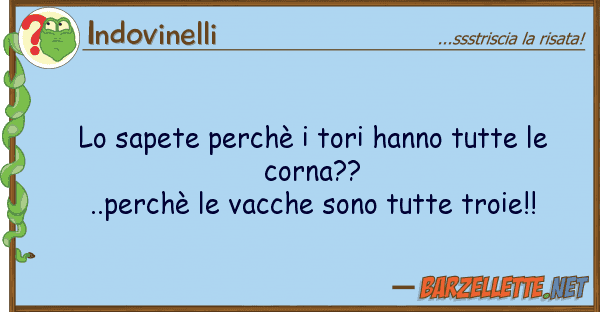 Indovinelli sapete perchè tori hanno tutte