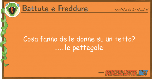 Battute e Freddure cosa fanno donne tetto?.....