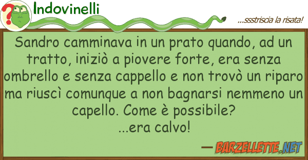 Indovinelli sandro camminava prato quando,