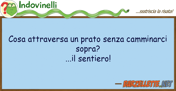 Indovinelli cosa attraversa prato senza camminarc