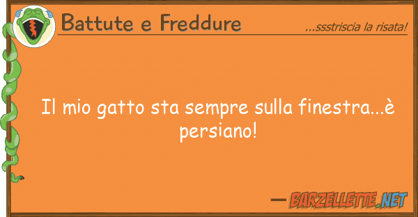Battute e Freddure gatto sta sempre finestra..