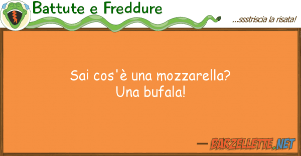 Battute e Freddure sai cos'è mozzarella? bufala!