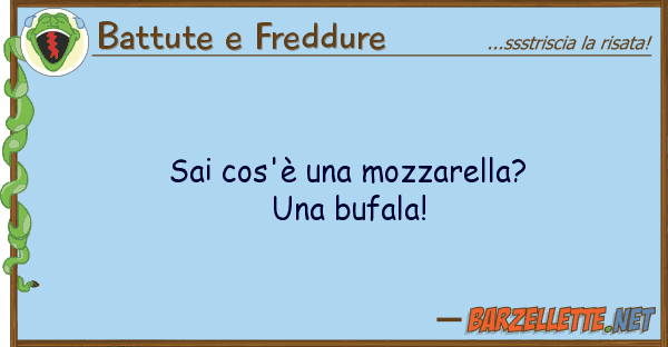 Battute e Freddure sai cos'è mozzarella? bufala!