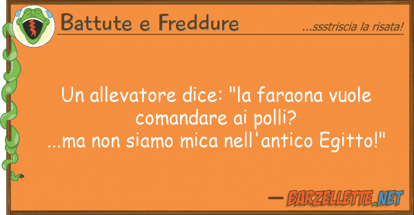 Battute e Freddure allevatore dice: "la faraona vuole co