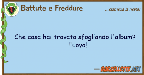 Battute e Freddure cosa hai trovato sfogliando l'album?