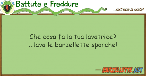 Battute e Freddure cosa fa lavatrice?...lava