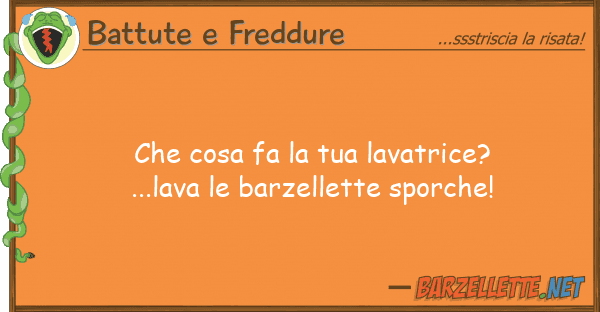 Battute e Freddure cosa fa lavatrice?...lava