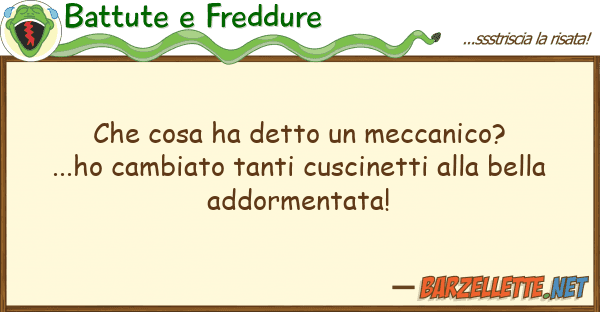 Battute e Freddure cosa ha detto meccanico?...ho cam