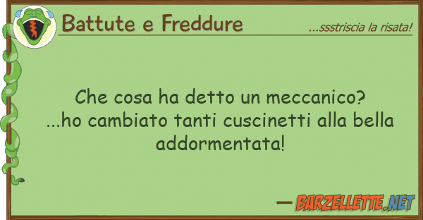 Battute e Freddure cosa ha detto meccanico?...ho cam