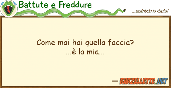Battute e Freddure mai hai faccia?...è mia.