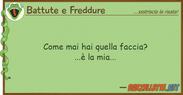 Battute e Freddure mai hai faccia?...è mia.