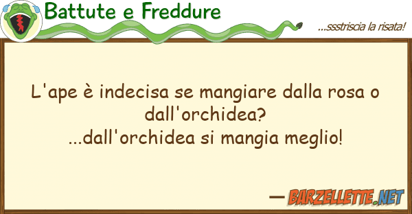 Battute e Freddure l'ape è indecisa mangiare rosa