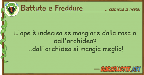 Battute e Freddure l'ape è indecisa mangiare rosa